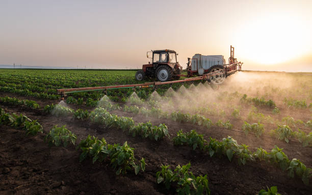 Best Commercial Pest Control Services  in West Simsbury, CT