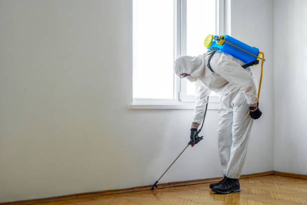 Reliable West Simsbury, CT Pest Control Solutions