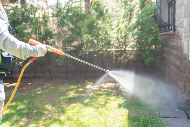 Flea Control Services in West Simsbury, CT
