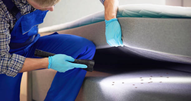 Best Wasp Removal Services  in West Simsbury, CT