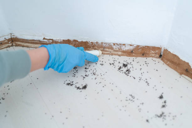 Wildlife Control Services in West Simsbury, CT